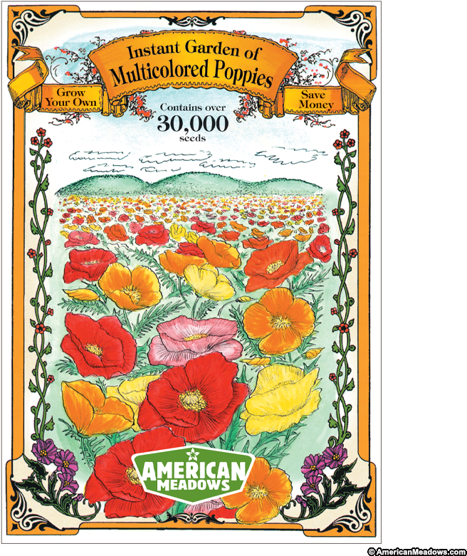 Instant Garden Of Multicolored Poppies Jumbo Packet - Poppy (800x800), Png Download