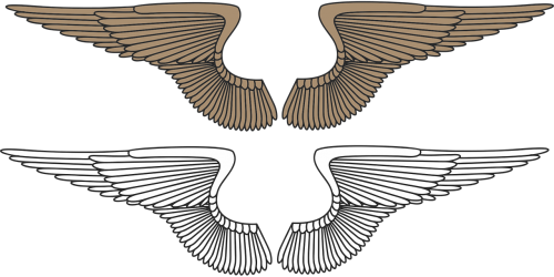 Wings,angel,eagle,angel - Wing Clip Art (500x250), Png Download