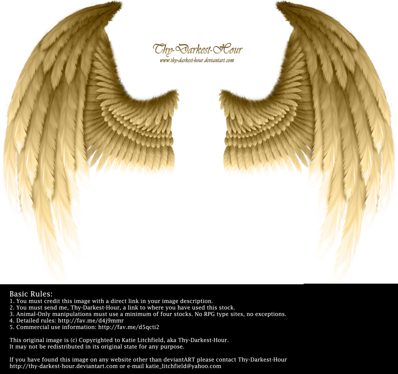 Golden Angel Wings Png Clipart Transparent Stock - Angel Gold Wings Png (1280x1201), Png Download