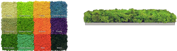 Acoustic Moss Panels™ Are Made From Reindeer Moss Which - Moss Acoustic Panel (640x208), Png Download