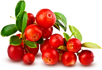 Crescent Moon Png Image - Tabletop (countertop) Sign Stand Holder, 8.5" X 11" (510x510), Png Download