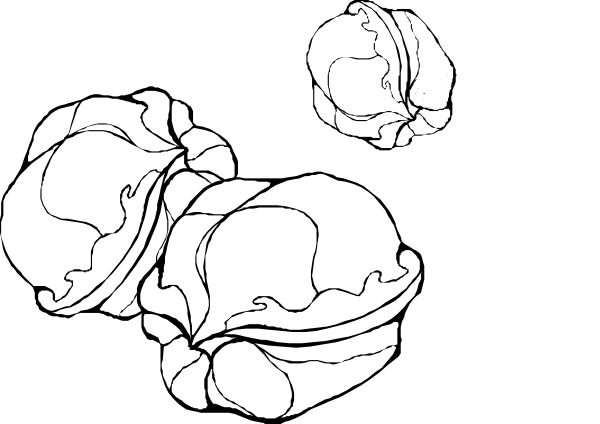 Original Png Clip Art File Walnuts Outline Svg Images (600x424), Png Download