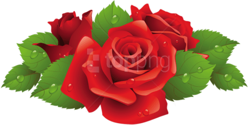 0, - Roses Vector (600x292), Png Download