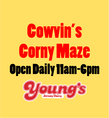 Corny Maze 1 - Youngs Dairy (442x475), Png Download