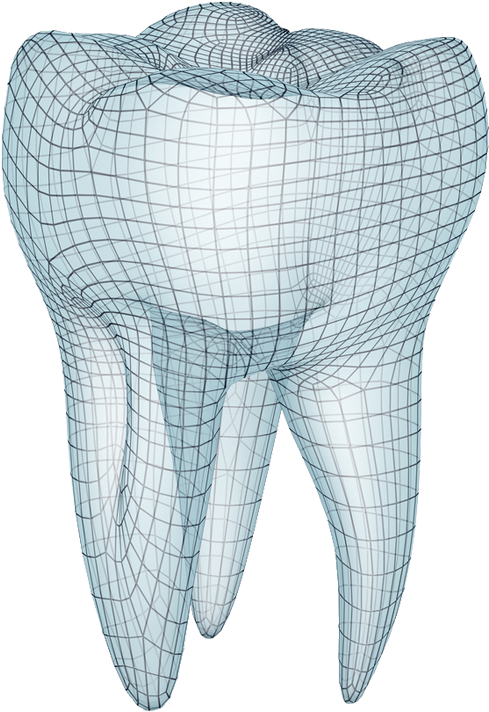 Pharmaceutical And Dental Wax - Molar Teeth (900x730), Png Download