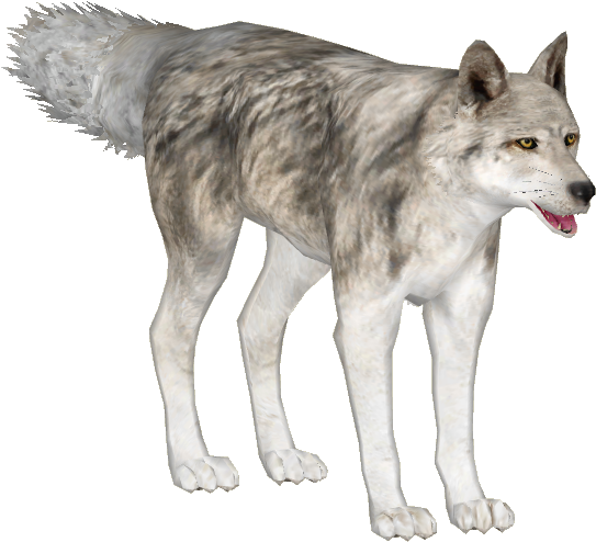 Siberian Tundra Wolf - Zoo Tycoon 2 Tundra Wolf (542x542), Png Download