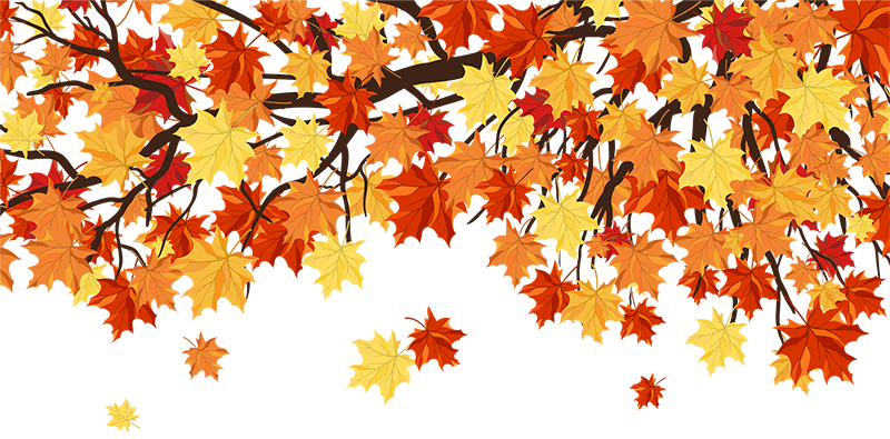 Autumn Colors, Leaves Falling, Daylight Savings - Maple Leaf Background Vector (800x395), Png Download