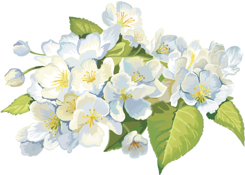 Rain - Bath Bombs Gift Set - Luxury Bath Fizzies - Lush Size (500x359), Png Download