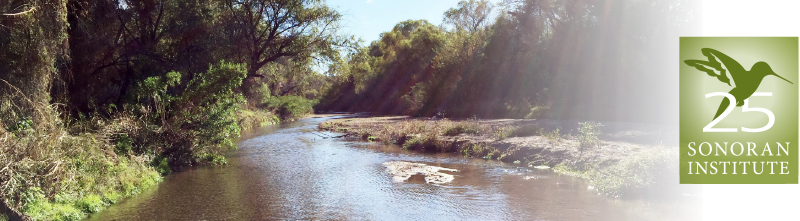 Sonoran Institute (800x221), Png Download