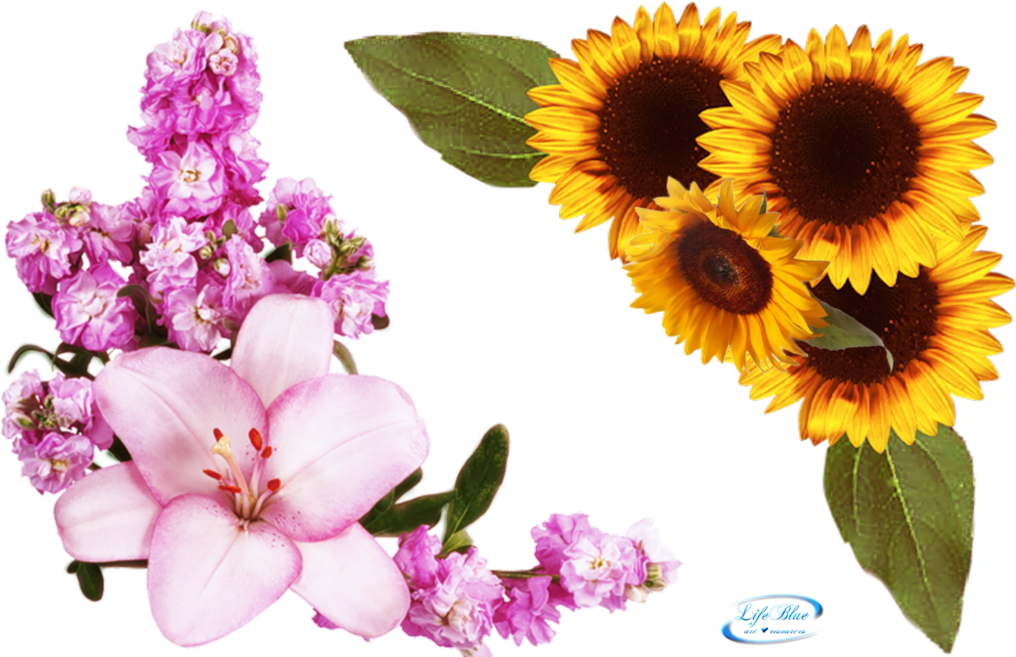 Floral Corner Png (1024x656), Png Download