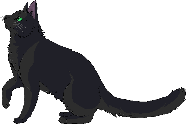 Hollyleaf Boi Boi - Asian (761x520), Png Download