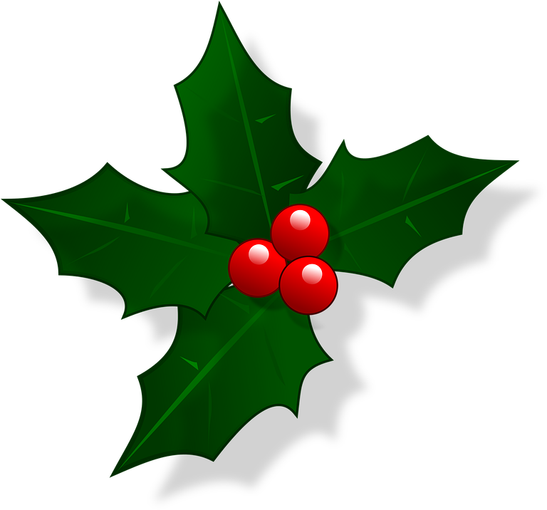 Holly Vector Illustration - Holly Christmas (774x720), Png Download