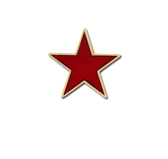 Star Badge Png - All Pointe Care Logo (572x541), Png Download