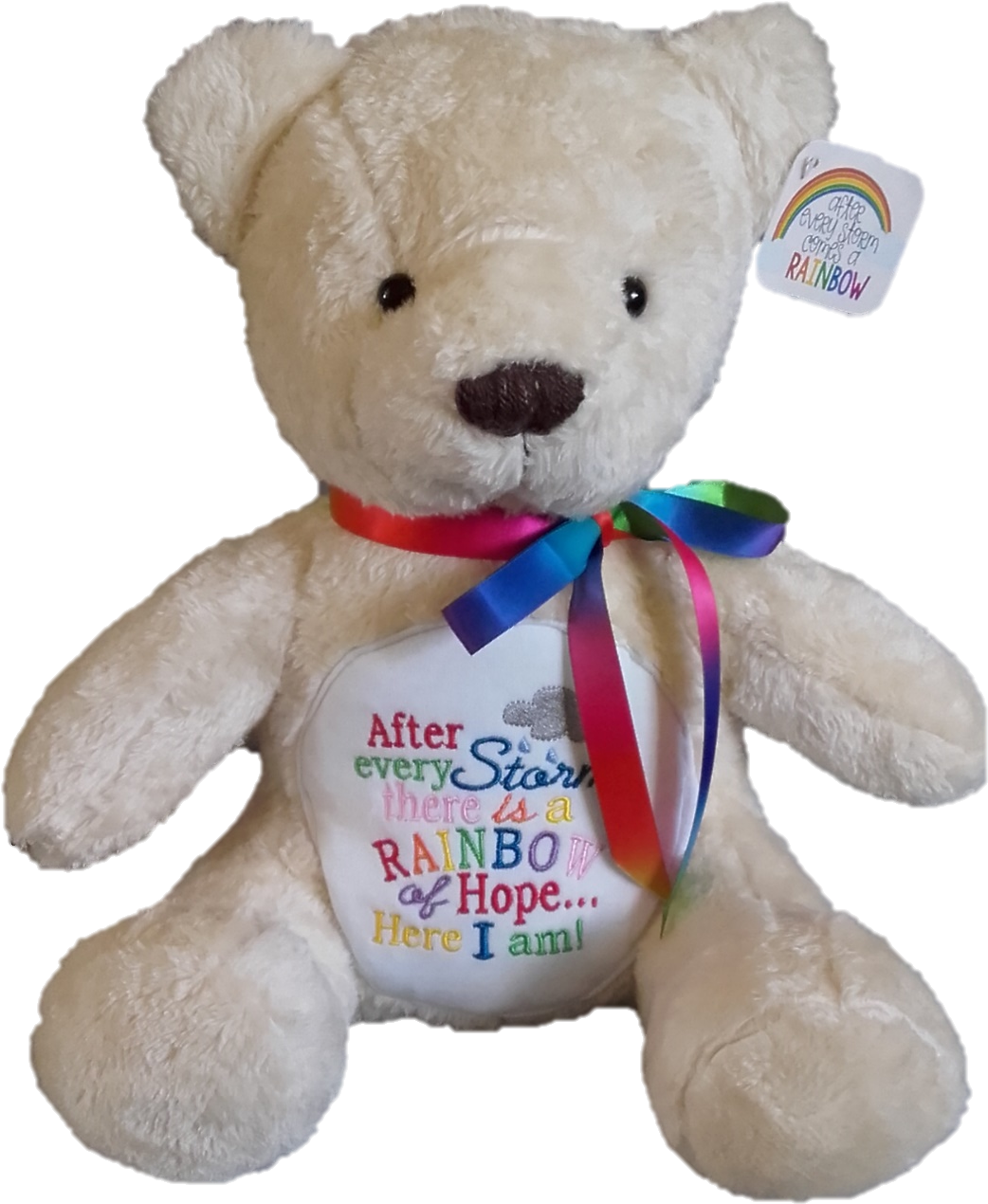 Rainbow Bear - Bear (1277x1757), Png Download