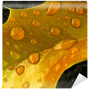 Drop (400x400), Png Download