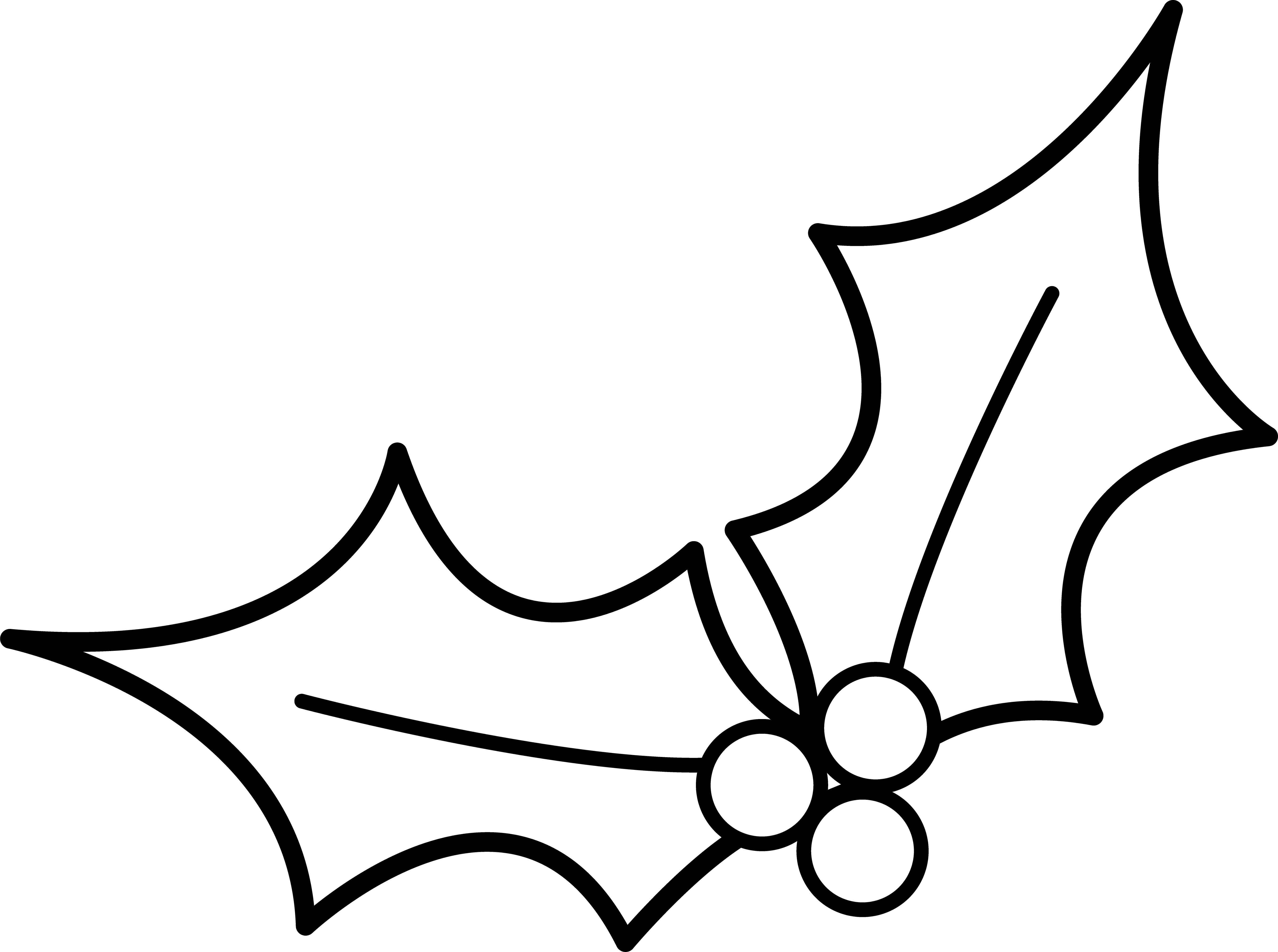 Christmas Holly Line Art - Christmas Holly Clip Art (5432x4046), Png Download