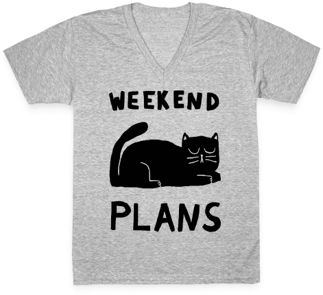 Weekend Plans Cat V-neck Tee Shirt - Korat (484x484), Png Download
