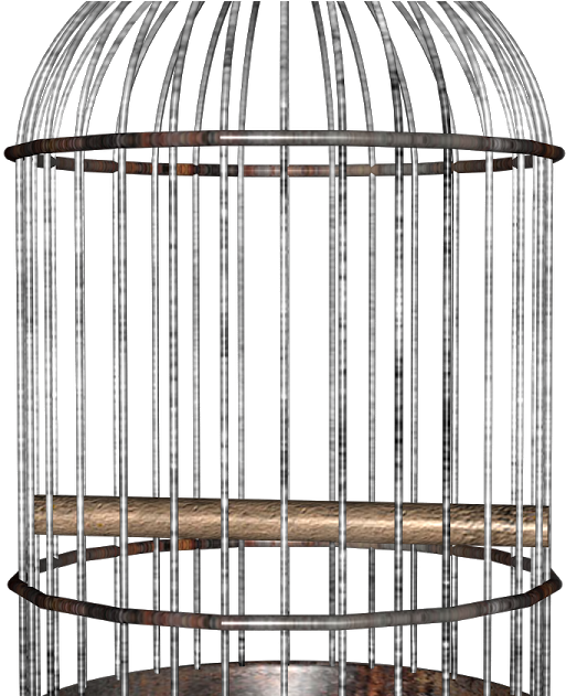Bird Cage Png (1200x630), Png Download