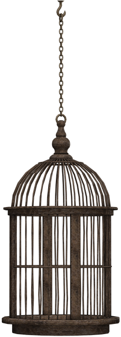 Hanging Bird Cage Black (960x720), Png Download