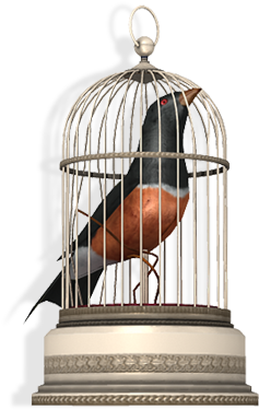 Antique Bird Cage - Bird In A Cage Png (320x480), Png Download