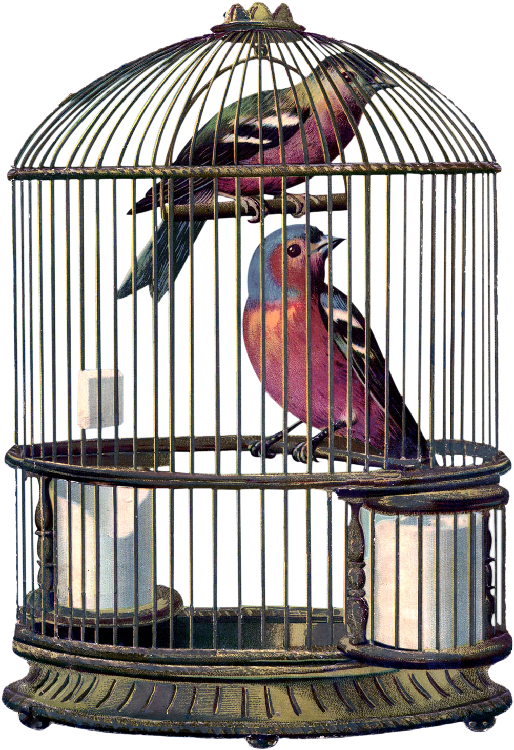Encantarte Imagens Vintage - Bird In Cage Png (1049x1500), Png Download