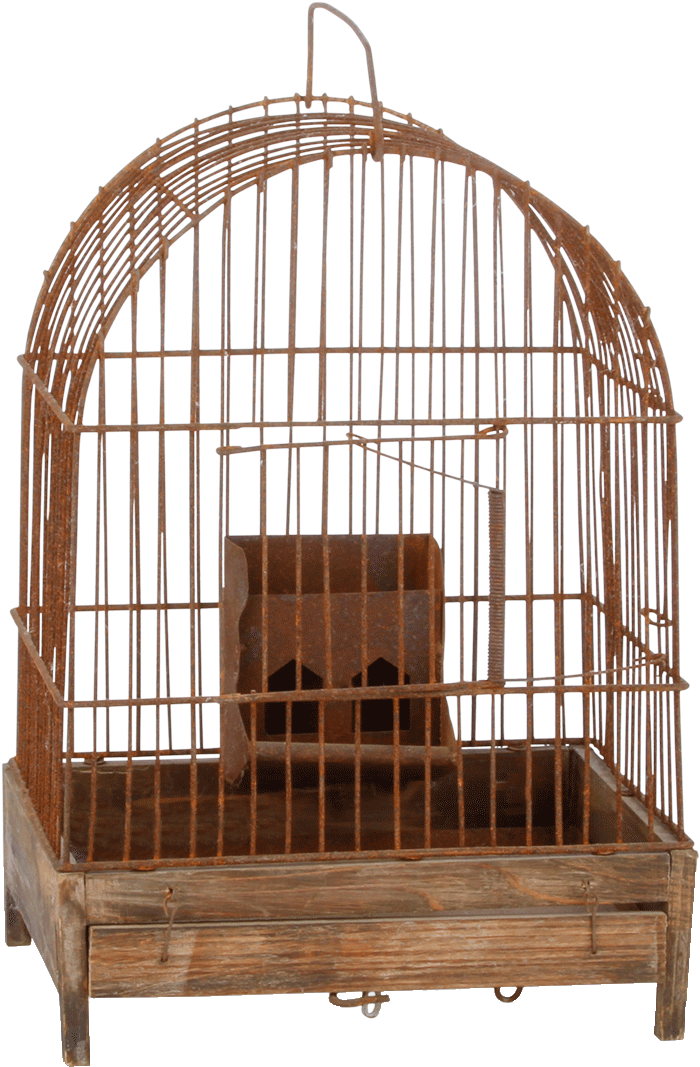 Wire Birdcage - Cage (980x1299), Png Download