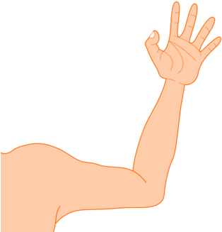 Robotic Arm Muscle Blog Document (425x340), Png Download