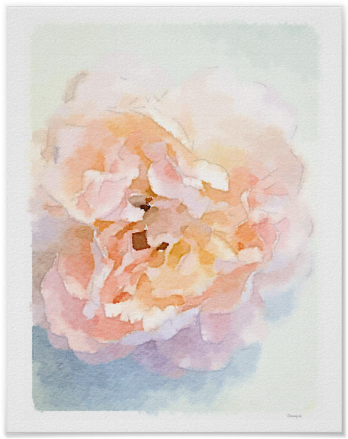Watercolor Peonies Art Print - Rosa Pfingstrosen-leere Karte (1000x1000), Png Download