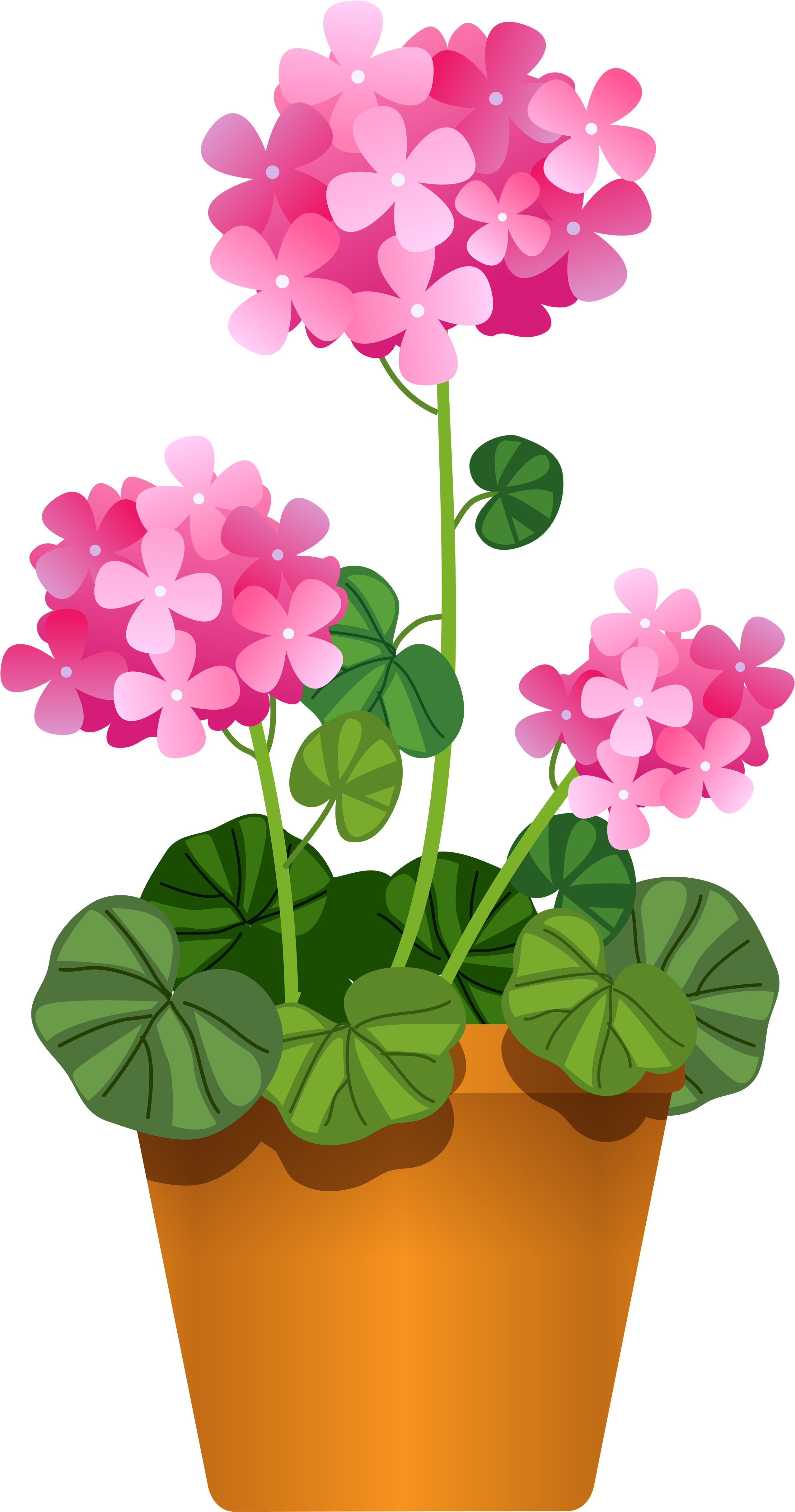 Margarita Clipart Cactus - Pink Flowers Pot Clipart (2738x5000), Png Download