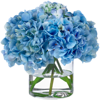 Hygrangea Blue Paper Napkins - Blue Hydrangeas (400x395), Png Download