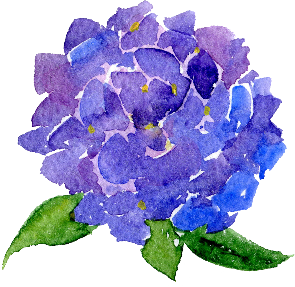 Transparent Background Watercolor Flowers Clip Art (1000x973), Png Download