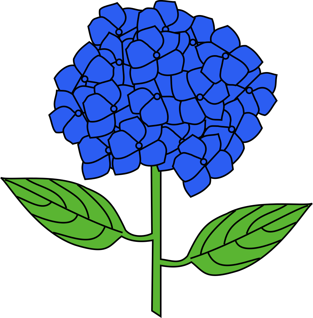 Hydrangea Clip Art - Hydrangea Svg (555x562), Png Download