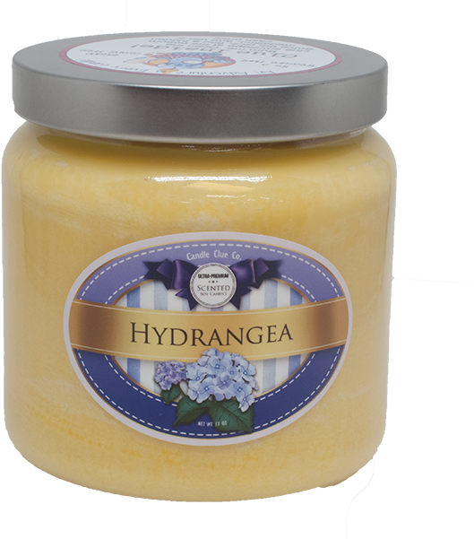 Week 6 - Hydrangea - Coconut (600x600), Png Download