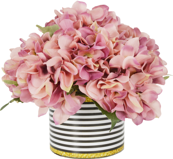 Hydrangea Png (600x550), Png Download
