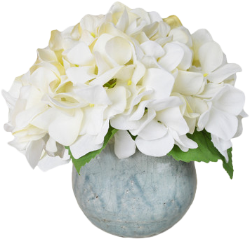 Creative Displays, Inc. Faux White Hydrangea (361x347), Png Download