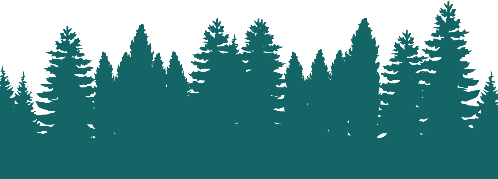 June - Green Forest Silhouette Png (1600x588), Png Download