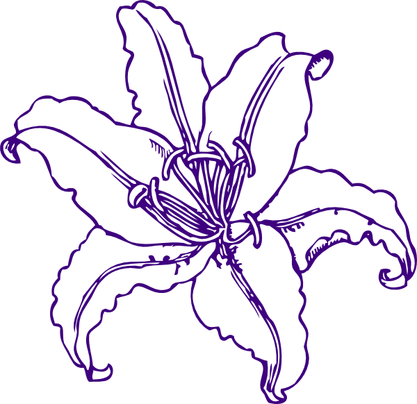 Purple Lilly Clip Art - Lilly Clipart (600x582), Png Download