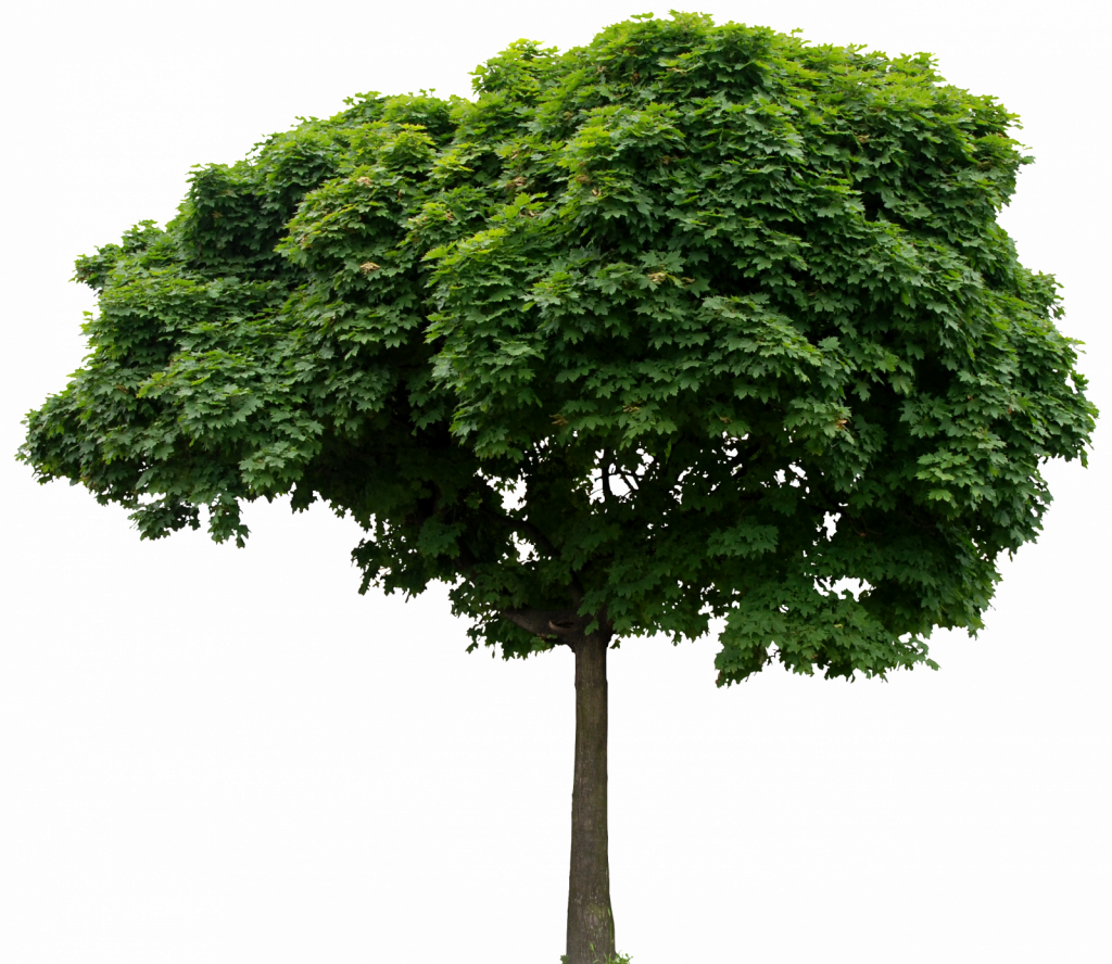 Enviar Por E-mailblogthis Compartilhar No Twittercompartilhar (1024x888), Png Download