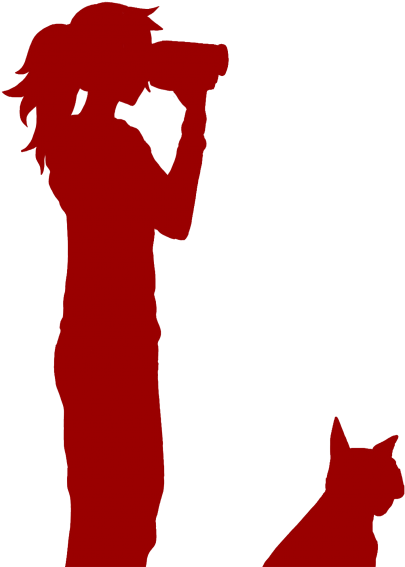 Silhouette (1700x1009), Png Download