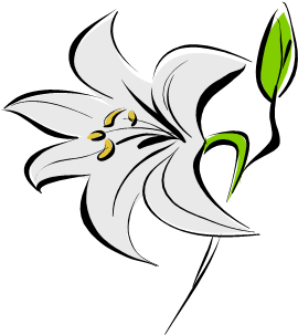 Easter Lilly - Ozadja Za Telefon (335x378), Png Download