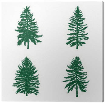 Set Of Different Silhouettes Of Green Pine Trees, Vector - Conifer Tree Silhouette (400x400), Png Download