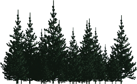 Billboard Trees - Pines Png (480x296), Png Download