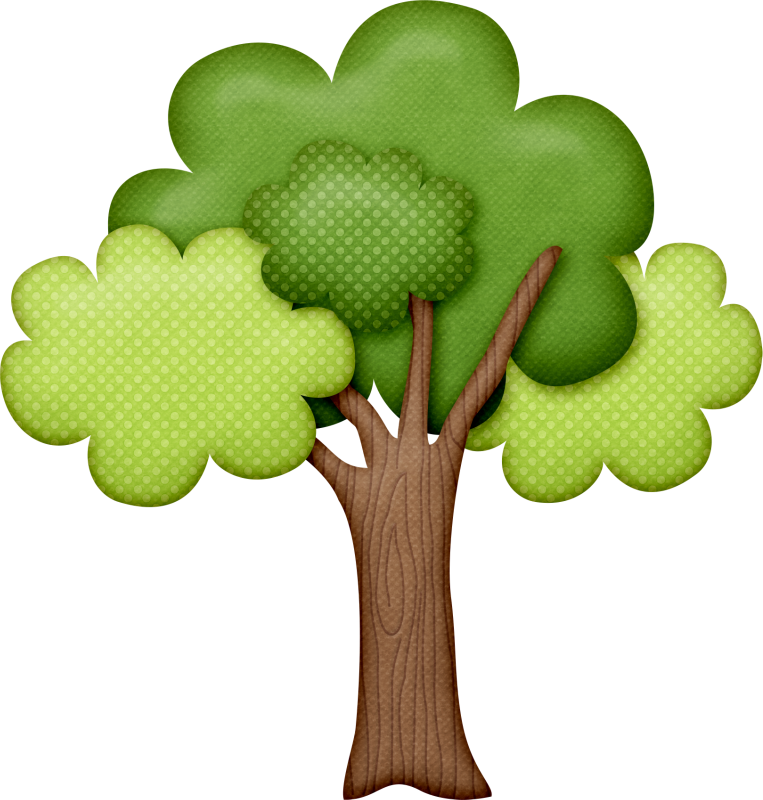 Arvore Desenho Png - Tree Clipart (763x800), Png Download