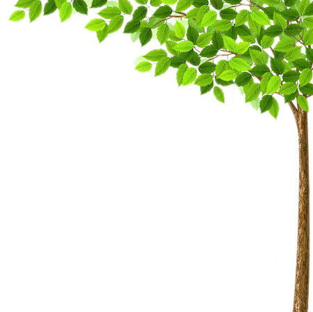 Arvore - Background For Power Point Presentation Related To (450x448), Png Download