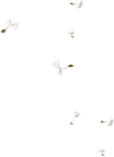 Photo From Album "nld An Eternal Story" On Yandex - Beyaz Sayfa Yazilar (365x500), Png Download