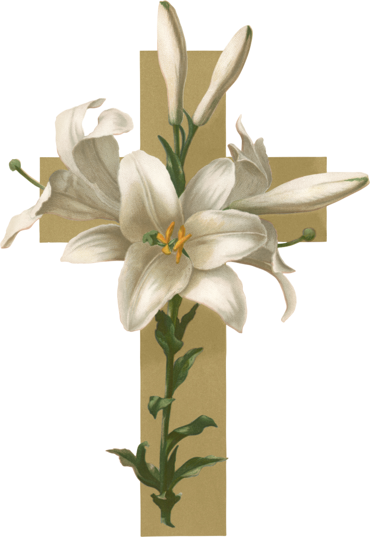 Easter Lily Christian Cross Flower Funeral Clip Art - Sorry To Hear Of Your Mom's Passing (745x1080), Png Download