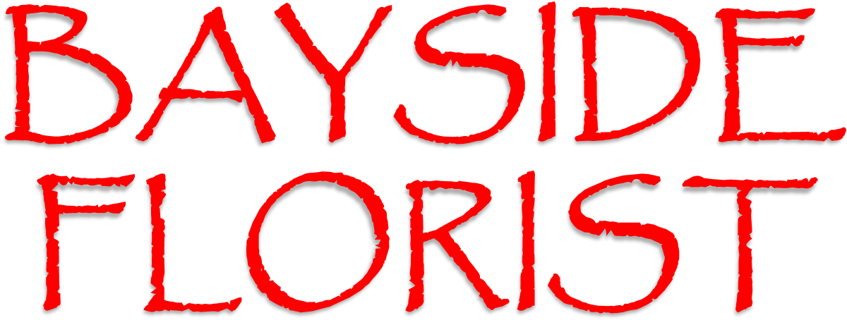 Tampa Bay Watch (1458x680), Png Download