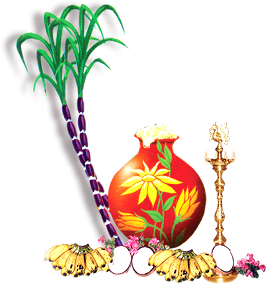 Sugar Cane Png (891x950), Png Download
