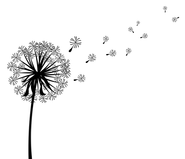 Clipart Royalty Free Library Shape Outside Tester Page - Transparent Background Dandilion Clip Art (800x566), Png Download