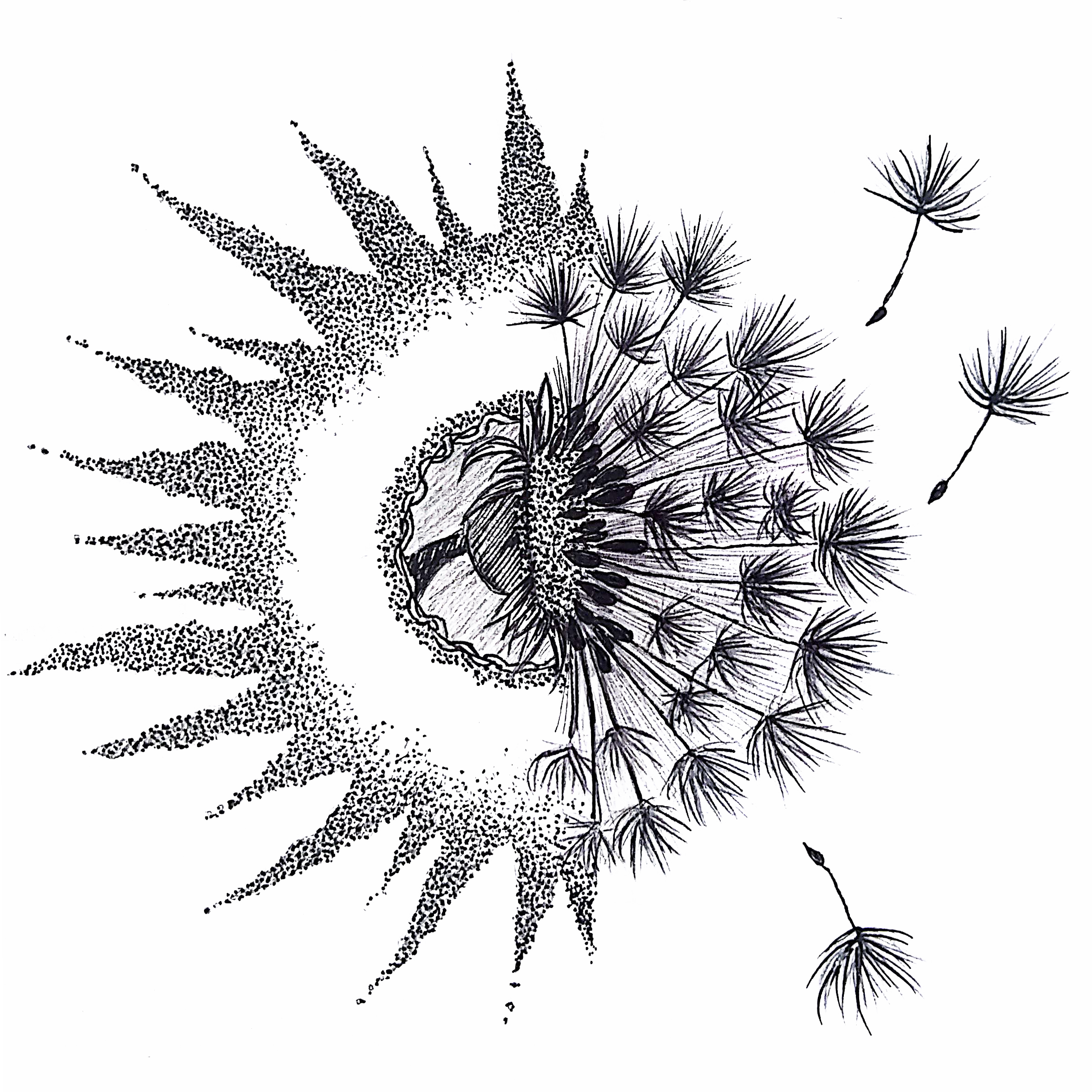 About Sunshine And Dandelions - Engraving (2350x2350), Png Download